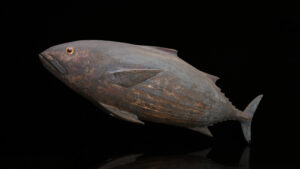 Japanese Carved Wood Bonito Tuna for Fisherman's Shrine